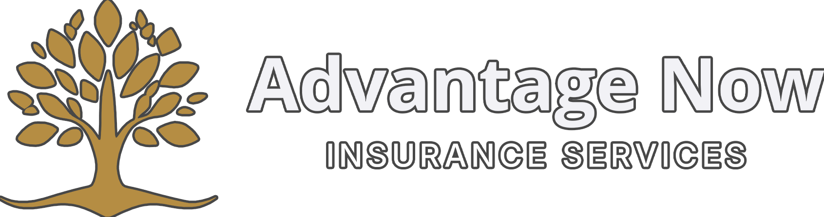 Insurance Carrier